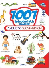 kniha 1001 jednoduchých slovíčok ANGLICKO-SLOVENSKÝCH, Matys 2017