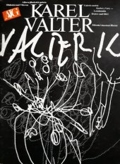 kniha Karel Valter oleje, tempery, papírotisky : katalog výstavy, Čes. Budějovice 5. 5.-28. 5., Ostrov nad Ohří 3. 6.-22. 7., Blatná 24. 6.-10. 9. 1989, Alšova jihočeská galerie 1989