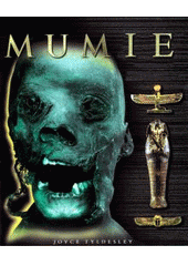 kniha Mumie odhalte tajemství egyptských hrobek, Domino 2003