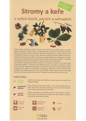kniha Stromy a keře v našich lesích, parcích a zahradách, Lipka - školské zařízení pro environmentální vzdělávání 2012