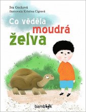 kniha Co věděla moudrá želva, Bambook 2020