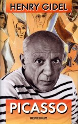 kniha Picasso, Remedium 2004