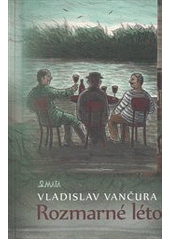 kniha Rozmarné léto, Maťa 2013