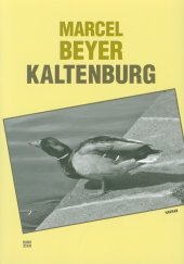 kniha Kaltenburg, Havran 2018