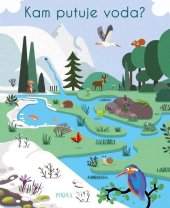 kniha Kam putuje voda?, Pikola 2021
