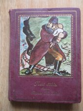 kniha Není ďábla román, Fr. Borový 1925