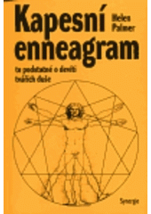 kniha Kapesní enneagram to podstatné o devíti tvářích duše, Synergie 1998