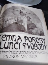 kniha Z temna poroby k slunci svobody, Borský a Šulc 1921