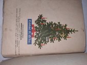 kniha Vánoce u Spejblů, Vojt. Šeba 1929