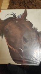 kniha Veter v grive horses, Planeta 1975