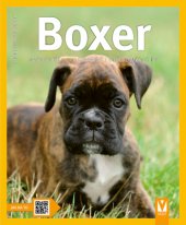 kniha Boxer, Vašut 2016
