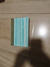 kniha V neviditelnu Spiritism a mediumita, Hejda [a] Tuček 1927