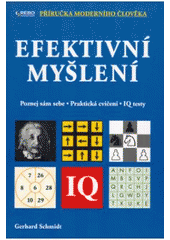 kniha Efektivní myšlení poznej sám sebe : praktická cvičení, IQ testy, Rebo 2007