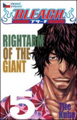 kniha Bleach 5. - Rightarm of the giant, Crew 2013