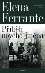 kniha Geniální přítelkyně 2. - Příběh nového jména, Prostor 2017