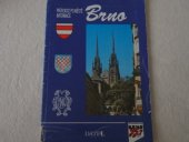 kniha Brno průvodce po měste : informace, Datel 1992