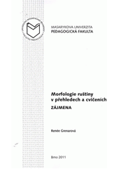 kniha Morfologie ruštiny v přehledech a cvičeních. Zájmena, Masarykova univerzita 2011