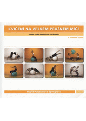 kniha Cvičení na velkém pružném míči soubor cviků zlepšujících vaši kondici, Ingrid Palaščáková Špringrová 2008
