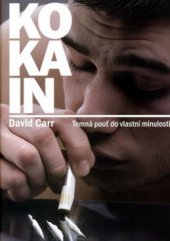 kniha Kokain temná pouť do vlastní minulosti, XYZ 2009
