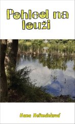 kniha Pohled na louži, Tomáš Nosek 2020