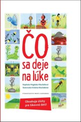 kniha Čo sa deje na lúke Obsahuje úlohy pre šikovné deti!, Matica slovenská 2018