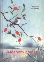 kniha Meandry paměti o výstavách a výtvarnících, Regionpress ve spolupráci s nakl. Albert 2008