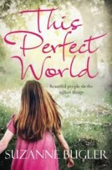 kniha This Perfect World, Pan Books 2011