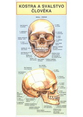 kniha Kostra a svalstvo člověka, Miloslav Holman 2008