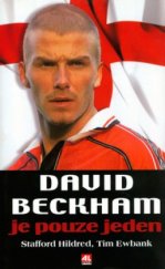 kniha David Beckham je pouze jeden, Alpress 2003