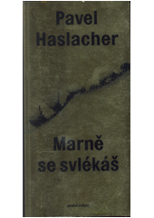 kniha Marně se svlékáš, Druhé město 2017