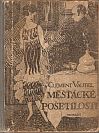 kniha Měšťácké pošetilosti román, T. Pospíšil 1926