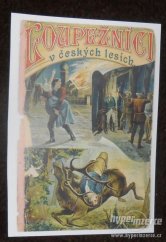 kniha Loupežníci v českých lesích Díl III. zajímavý román z předešlého století., Nákladem Aloisa Hynka, knihkupce 1893