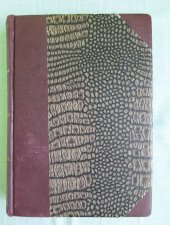 kniha Věčný žid III., Alois Hynek 1915