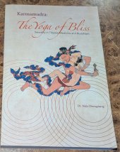 kniha Karmamudra: The Yoga of Bliss : Sexuality in Tibetan Medicine and Buddhism, Sky Press 2018