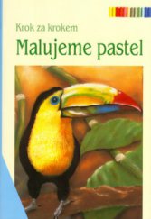 kniha Malujeme pastel, Anagram 2001