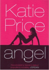 kniha Angel, BB/art 2008