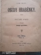 kniha Hraběnka z Bergenavy Součas. rom., Adolf Synek 1906