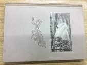 kniha Lept a příbuzné techniky, Státní nakladatelství krásné literatury, hudby a umění 1954