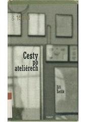 kniha Cesty po ateliérech 1976-1986, Torst 1996
