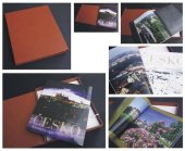 kniha Česko Klenot Evropy, AB Art press 2025