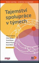 kniha Tajemství spolupráce v týmech, Management Press 2013