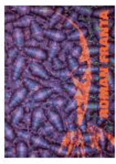 kniha Roman Franta obrazy 1996-1999 : paintings 1996-1999, Roman Franta 2000