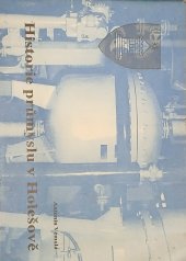 kniha Historie průmyslu v Holešově, Městský úřad 1994