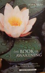 kniha The Book of Awakening, Large Print Press 2000