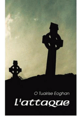 kniha L'Attaque román z irských dějin, Baronet 2007