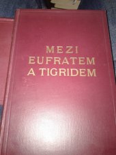kniha Mezi Eufratem a Tigridem Nový Irák, Melantrich 1935
