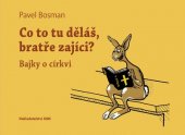 kniha Co to tu děláš, bratře zajíci? Bajky o církvi, KMS 2016