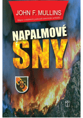 kniha Chrabří bojovníci 1. - Napalmové sny, Naše vojsko 2013