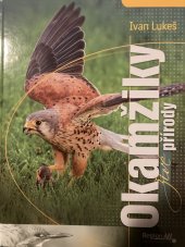 kniha Okamžiky živé přírody, Regionall 2015