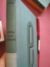 kniha Chřipka řádí v Napravě = [Grypa szaleje w Naprawie : Román], Evropský literární klub 1936